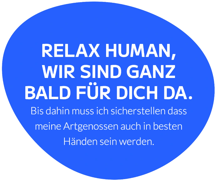 Buddies Bild 2 Buddies Bild 2