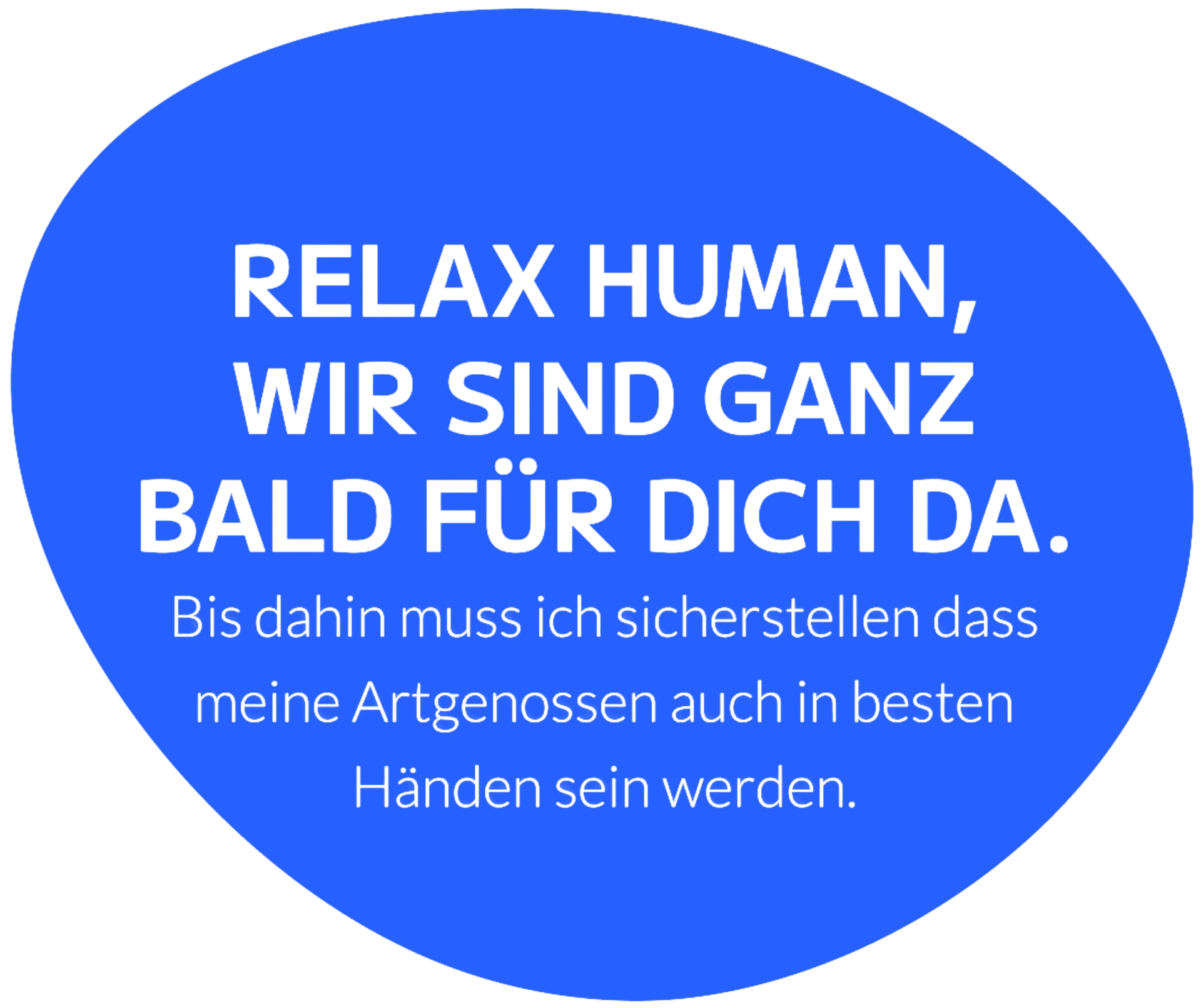 Buddies Bild 2 Buddies Bild 2